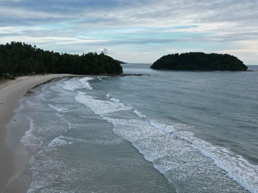 An aerial view of sea waves breaking sandy beach in background of green trees