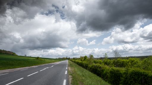 A road in the middle of grassy fields with trees and plants under a cloudy sky
