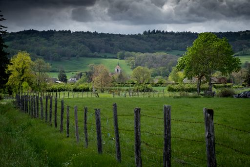 A grassy field with a barb wire fence and forested hills in the distance under a cloudy sky