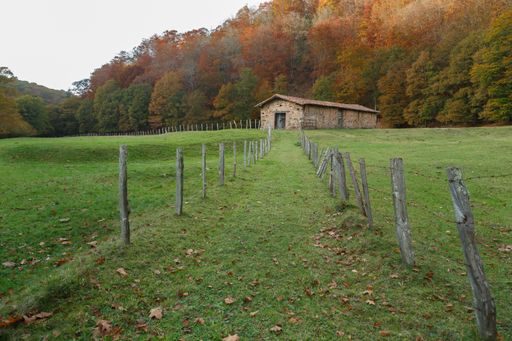 An old farmhouse in the field with autumn trees in the background