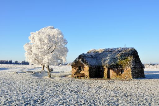 A frozen landscape with a hut between the trees over a background of a blue sky