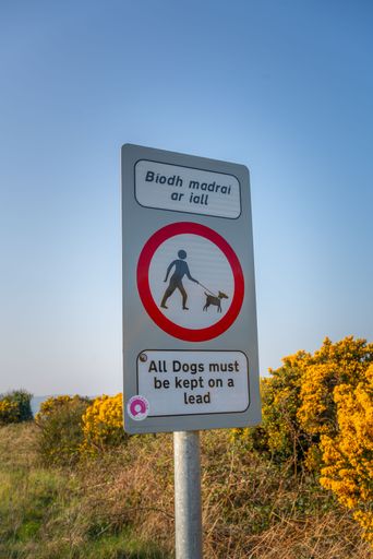 A vertical shot of All Dogs must be kept on a lead sign on a post with trees in the background