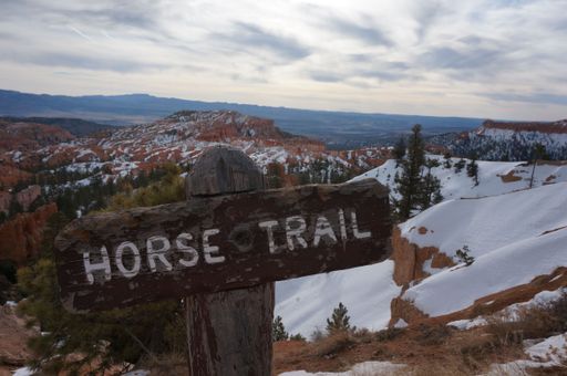 A closeup of a wooden sign of a horse trail at the top of the Bryce Canyon National Park
