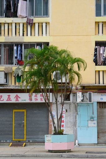 The exterior of a public housing building in Wah Fu Estate