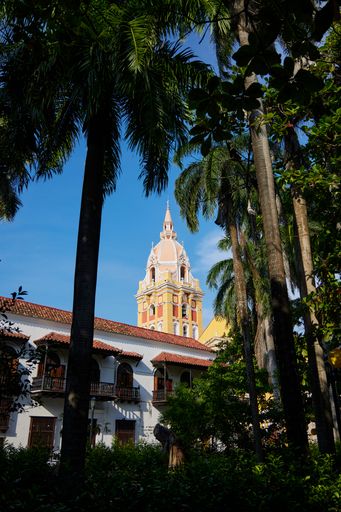 A beautiful shot of the Cathedral's tower and colonial houses surrounded by trees in Cartagena