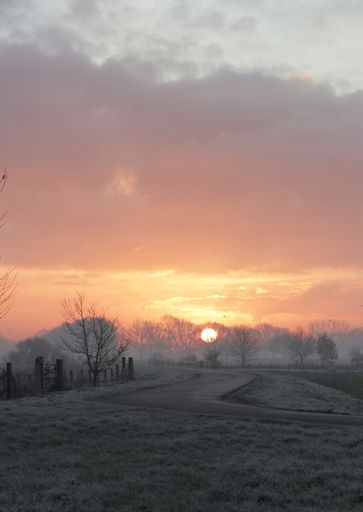 A vertical shot of a scenic sunrise on a misty morning over the frosty field in The Netherlands