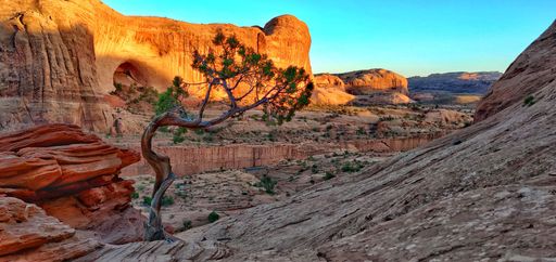 A panoramic sunset view  in Arches national park with the canyon in the background