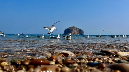 A beautiful view of birds flying over a tranquil sea captured from a rocky shore