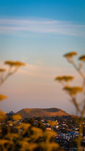 A vertical shot of the flamed volcano Mount Helen in Auckland, New Zealand