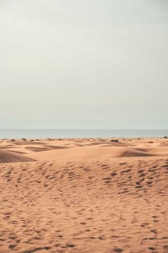 A vertical shot of desert during the day under the clear sky