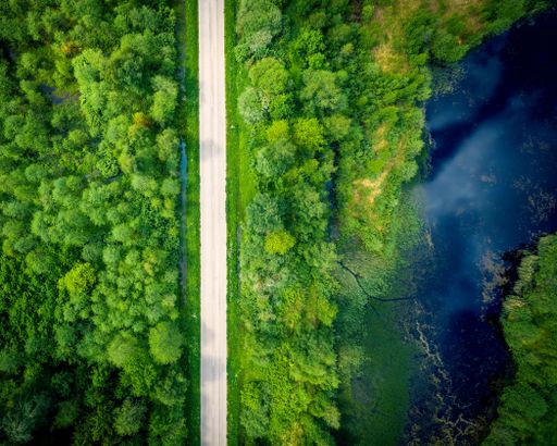 An aerial view of a long asphalt way between green trees near blue lake