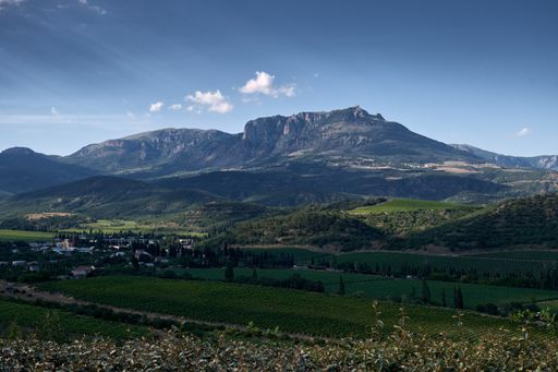 A beautiful shot of grassy fields with trees and mountains in the distance under a blue sky