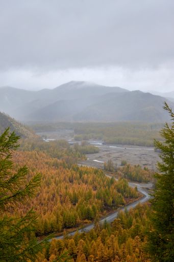 A vertical shot of a pathway in the middle of forested mountains under a cloudy sky