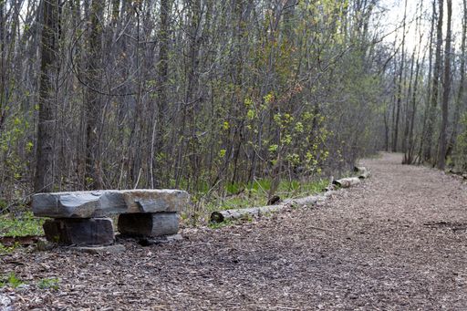 A vertical shot of a stone bench along a path in the woods