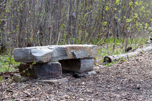A vertical shot of a stone bench along a path in the woods