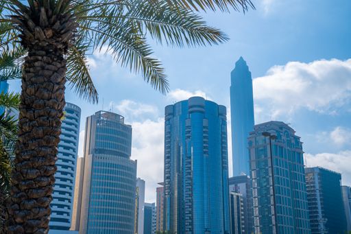 A low angle shot of skyscrapers in Abu Dhabi with a palm tree on the foreground