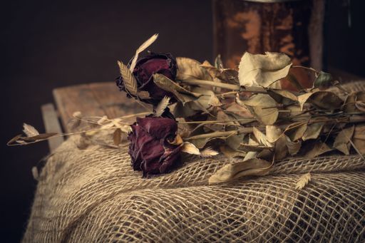 A closeup shot of a rustic composition with dry roses and a metal container on an old fabric