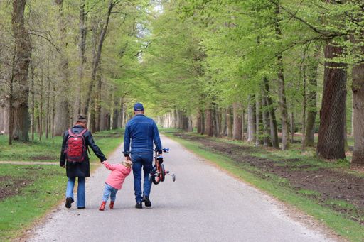 A back view of a family walking in Kroondomein het Loo in the Netherlands