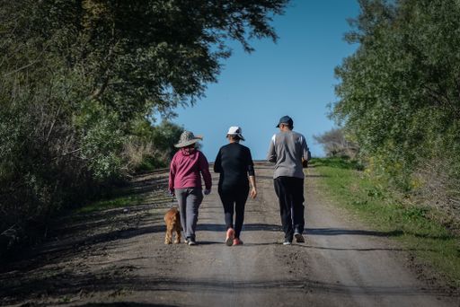 The people walking with their dog on the long pathway surrounded by trees and greens