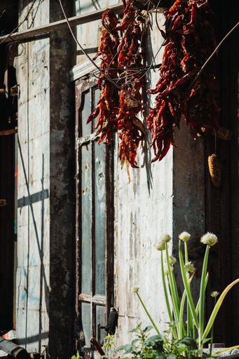 The vertical view of the red peppers hanging from an old building's facade