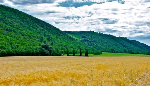 A scenic view of a field against green mountains in Les Mees,  Alpes-de-Haute-Provence, France