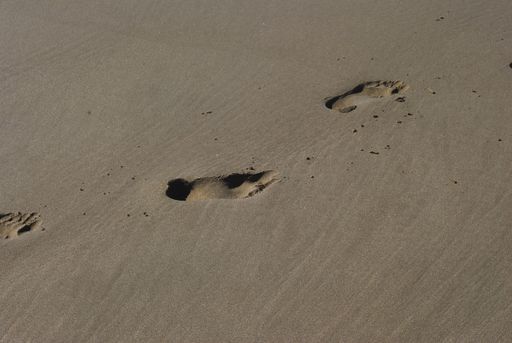 The footprints of a person on the sandy ground captured during the daytime