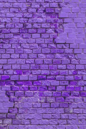 A vertical shot of the purple brick wall of the building