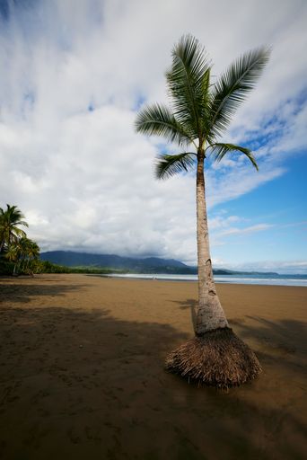 A vertical shot of the pacific ocean view in Uvita Costa Rica National park on a sunny day