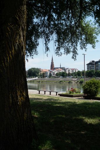 A verticall shot of a beautiful river behind the tree in a town