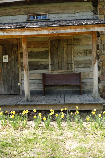 A vertical shot of a wooden house with narcissus flowers in the frontyard