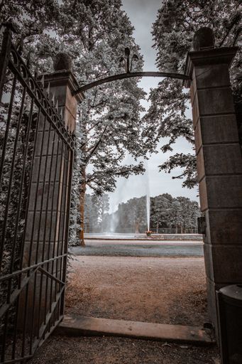 A vertical shot of a steel gate and a fountain inside