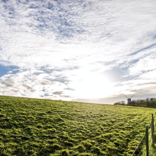 A sunny day in the meadows of Brighton countryside, England