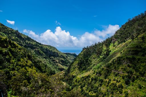 A natural view of a forest and mountain landscape under a clear sky