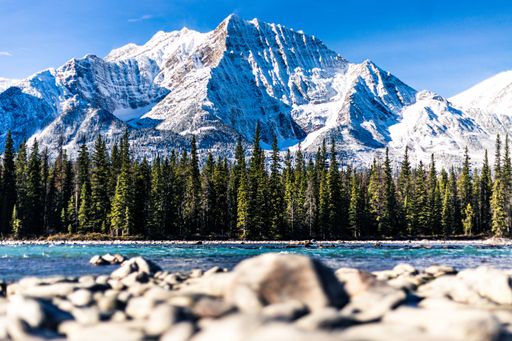 A view of a big snow-capped mountain with trees and the Lake Louise at the foot in Banff, Canada