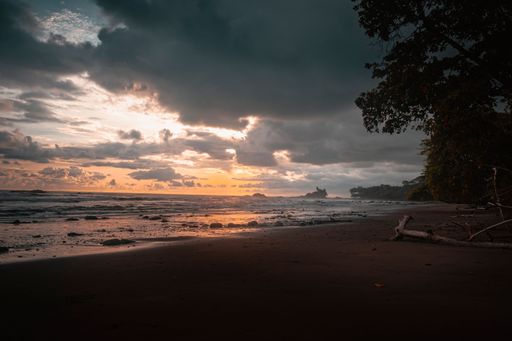 A rocky and sandy beach at low tide with fallen trees at sunset, Uvita, Costa Rica, under a colorful cloudy sky