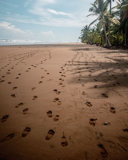 A vertical shot of waves and visible footprints on wet sand on the beach next to palm trees near Uvita, Costa Rica.