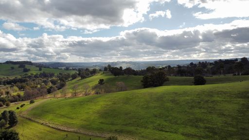 An aerial drone shot of a vast green grassy meadow under the cloudy sky