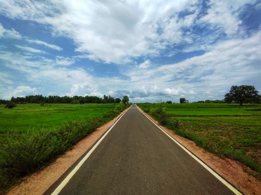 An empty road surrounded by fields