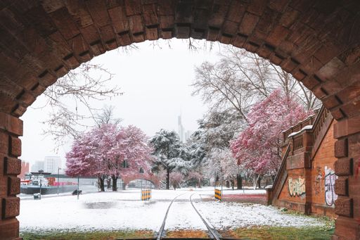 A railway from an arch tunnel near cherry blossom in a winter day