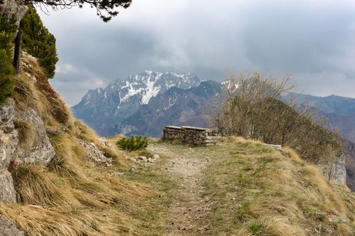 A pile of logs near a cramped road in mountains on a cloudy day in North Italy