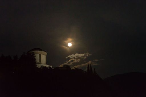 A silhouette of trees and the full moon in the night sky