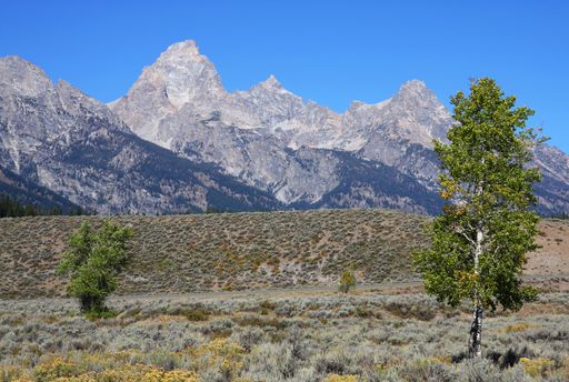 A vast wilderness and mountainous landscape under a clear sky