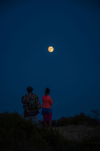 A vertical shot of two people standing on a hill covered with grass, looking at the full moon at night