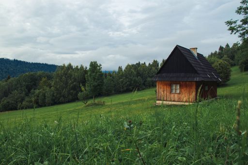 A wooden hut isolated in the field with dense trees on the background under the cloudy sky