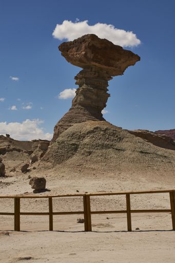 The fungus with the Talampaya formations in the background