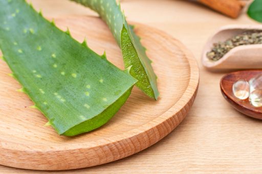 A fresh cut aloe vera on a round wooden plate