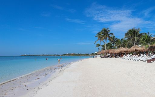 Akumal Beach is a popular site for visitors traveling to Mexico's Riviera Maya and offers snorkeling tours with sea turtles.