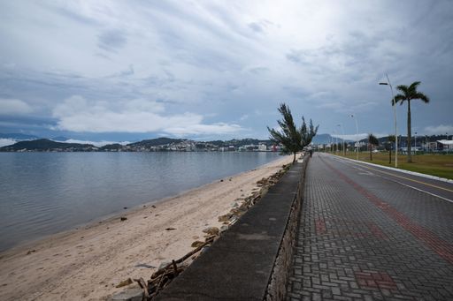 A long stone floor street with a palm tree by a sandy beach under a shiny gray sky