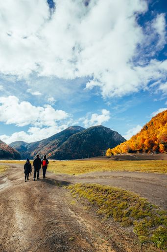 A vertical shot of three people walking to forested mountains in autumn in Conguillio National Park, Temuco, Chile