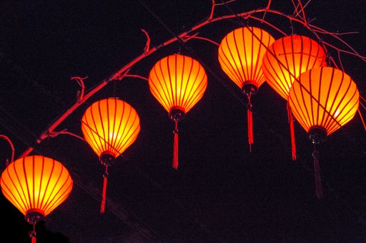 A beautiful low angle shot of red lanterns hanging on a tree branch